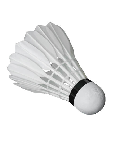Badminton WALTI