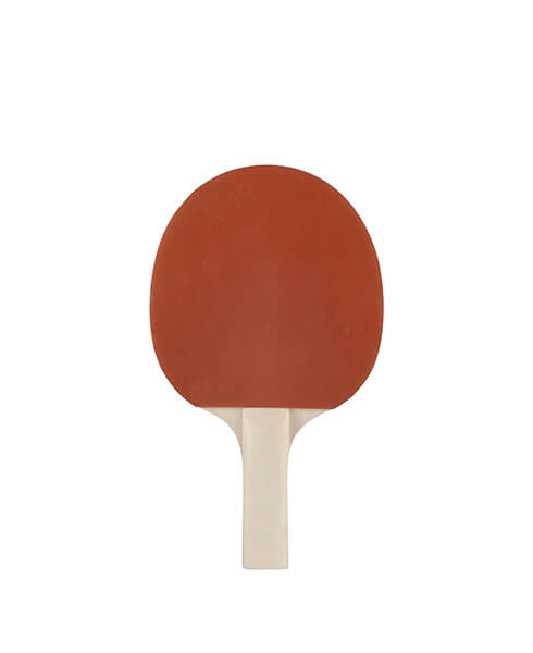 Tenis de masă WALTI