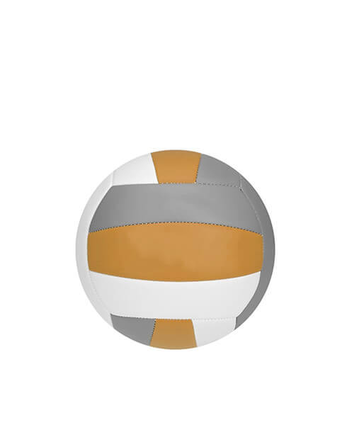 Volei WALTI