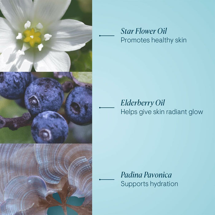 V4H56FFAFF729A080EF3C671D3D912FAE81R7072815P3 WALTI