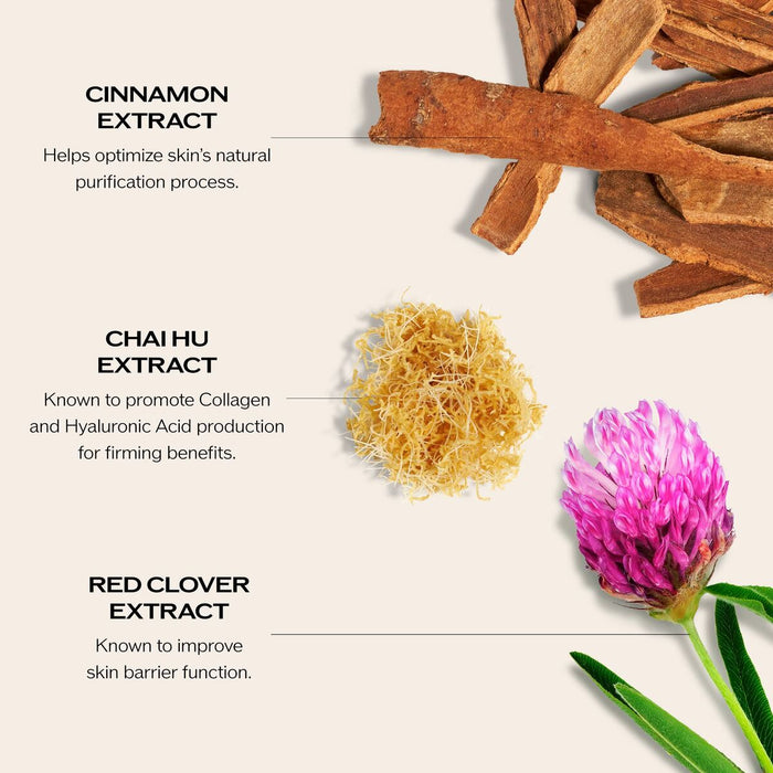 Cremă de Față Shiseido Performance - WALTI WALTI