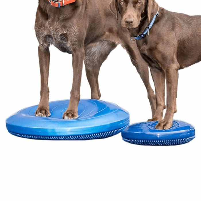 FitPAWS Disc de echilibru pentru animale de companie, albastru, 36 cm - WALTI WALTI