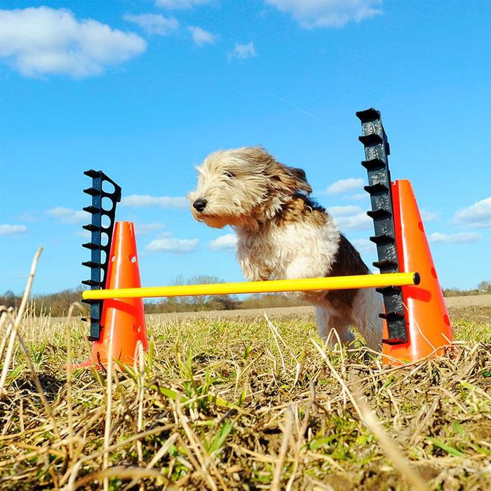 FitPAWS Set de obstacole - WALTI WALTI