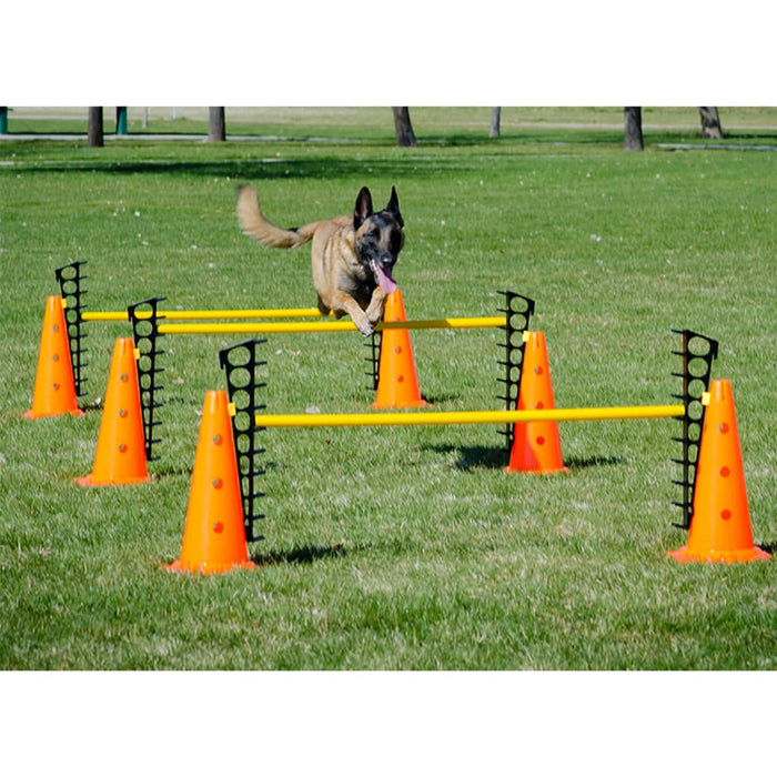 FitPAWS Set de obstacole - WALTI WALTI