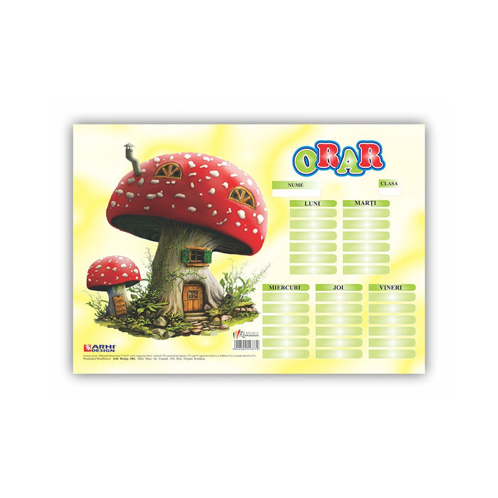 ARHI DESIGN Orar Scolar WALTI