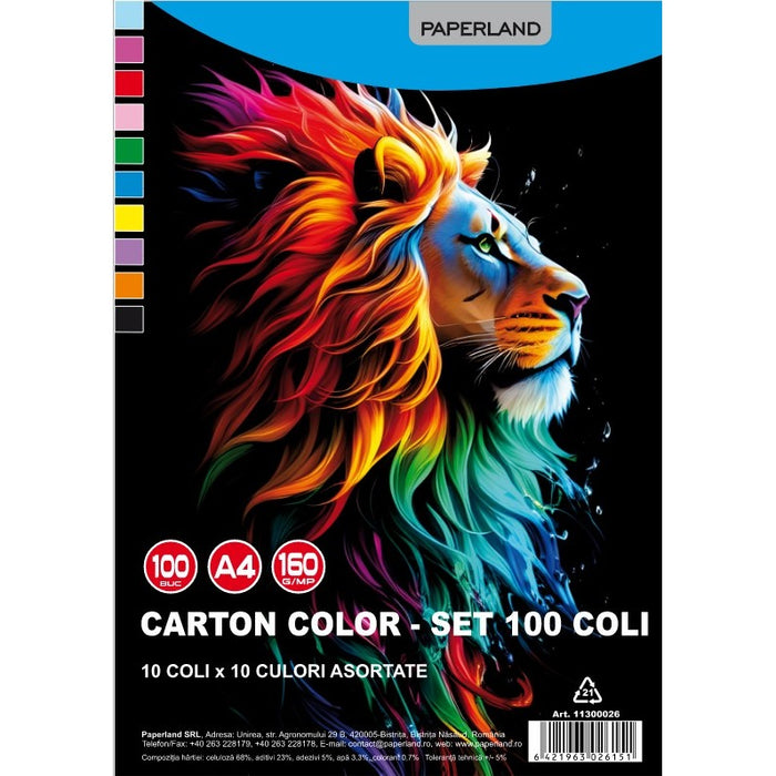 PAPERLAND Set 100 Coli Carton Colorat 10 Culori WALTI