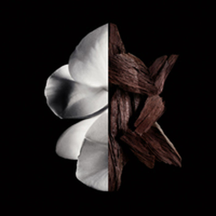 Parfum Femei Givenchy Gentleman Boisée 200 ml - WALTI WALTI