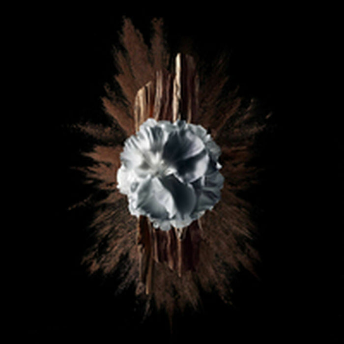 V5HBA43BAF822A621889D919D3E077064D9R5397791P6 WALTI