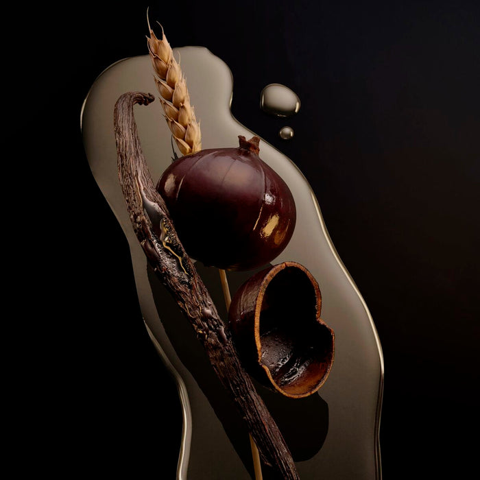 V4H553AABBF355DE76AC502A5A2534E4A21R5606653P5 WALTI