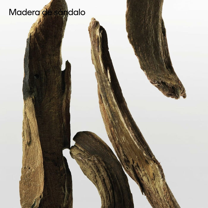 Parfum Unisex Calvin Klein CK 200 ml - WALTI WALTI