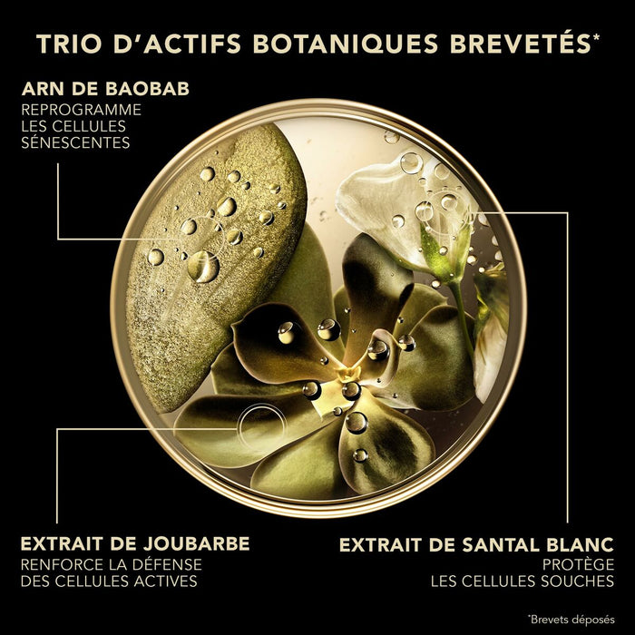 V4H8980CE47F0C81C7715634399B25A50E6R7239872P3 WALTI