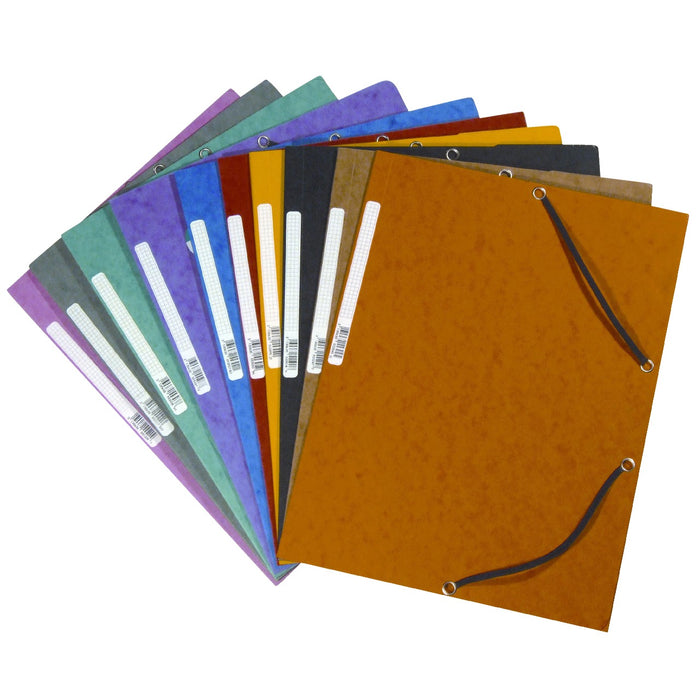 EXACOMPTA Mapa Carton cu Elastic WALTI