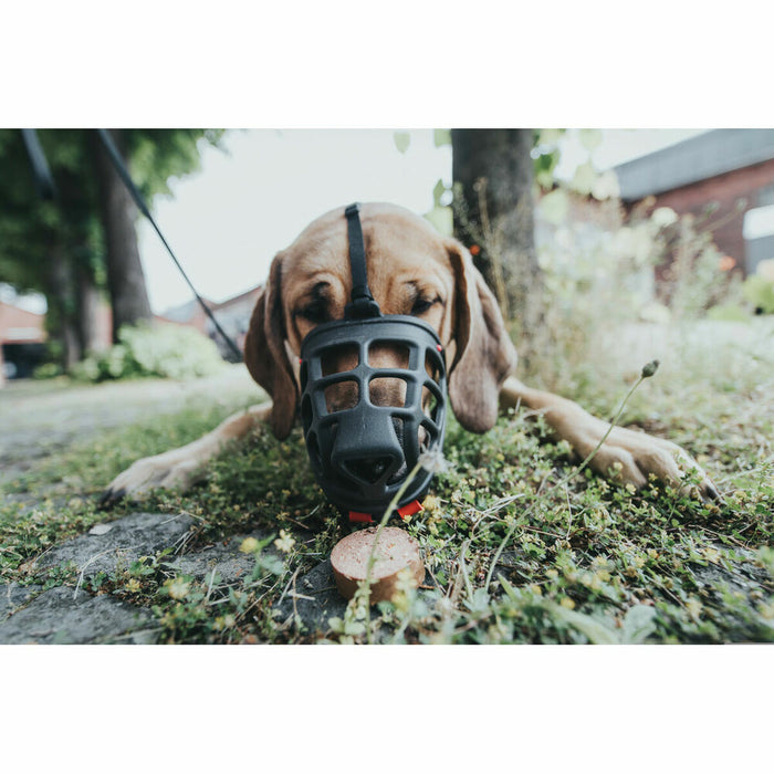 Botniță Hunter Albury 3 Negru - WALTI WALTI