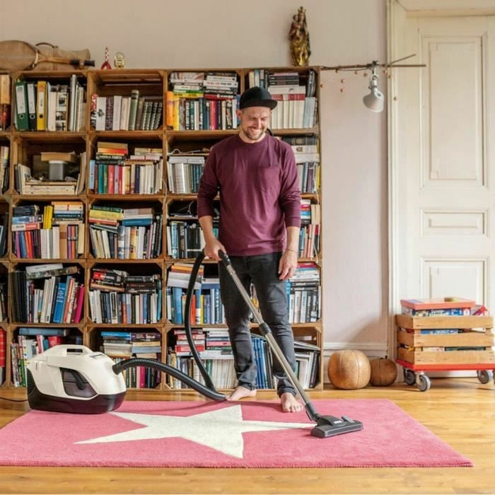 Extractor Kärcher Alb 650 W 2 L - WALTI WALTI