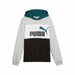 Hanorac cu Glugă Copii Puma Essentials Block - WALTI WALTI