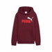Hanorac cu glugă pentru fete Puma Essentials 2 Color No. 1 Castaniu - WALTI WALTI