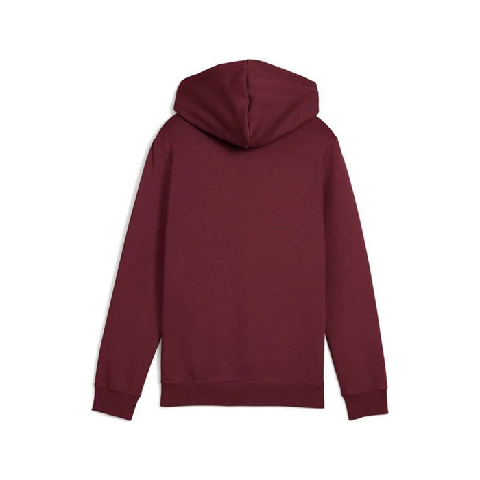 Hanorac cu glugă pentru fete Puma Essentials 2 Color No. 1 Castaniu - WALTI WALTI