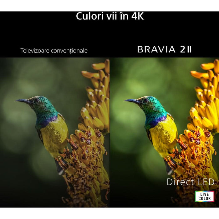 Televizor LED Smart SONY BRAVIA 2 II 43S25VM2, Ultra HD 4K, 108cm - WALTI WALTI