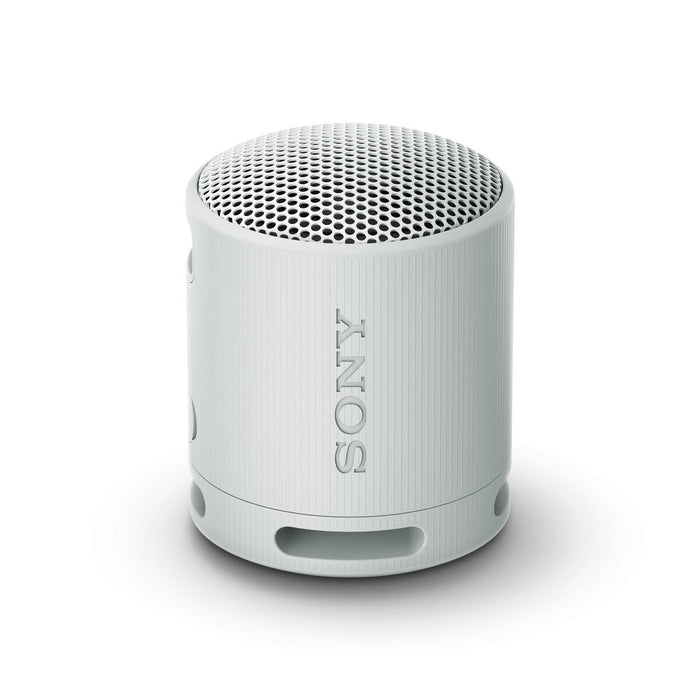 Difuzor Bluetooth Portabil Sony SRSXB100H.CE7 Gri - WALTI WALTI