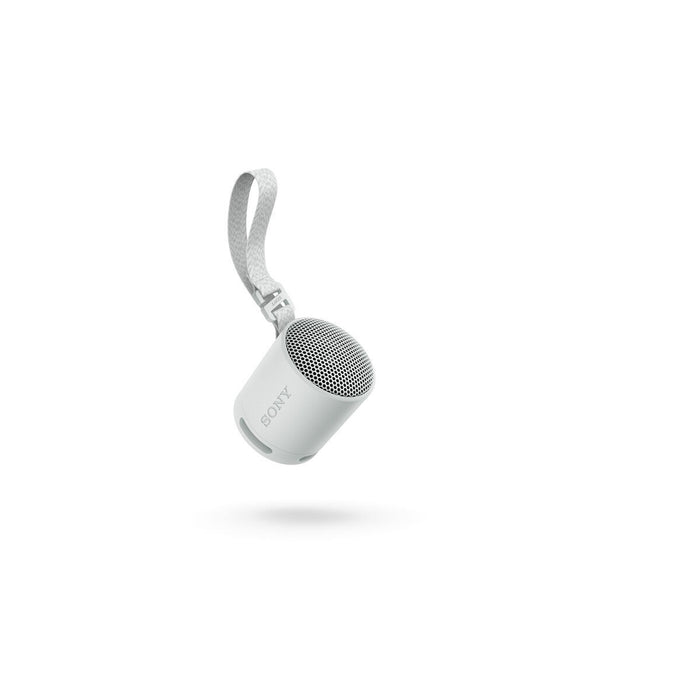 Difuzor Bluetooth Portabil Sony SRSXB100H.CE7 Gri - WALTI WALTI