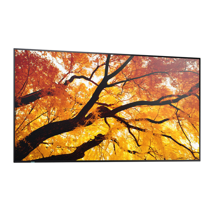 Monitor Videowall Sharp 60006053 4K Ultra HD 42,5" - WALTI WALTI