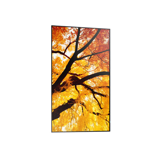 Monitor Videowall Sharp 60006052 Full HD 32" - WALTI WALTI