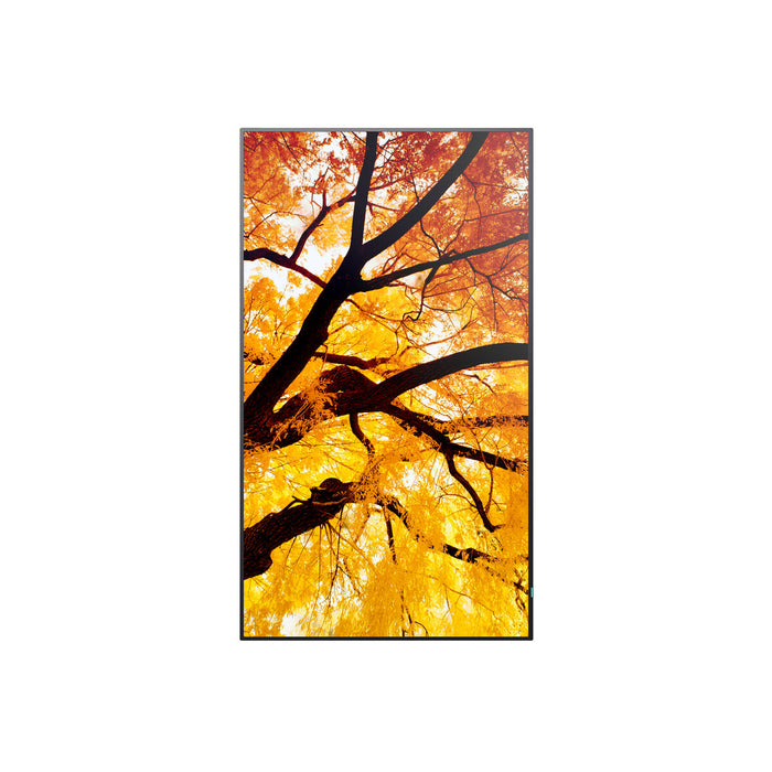 Monitor Videowall Sharp 60006052 Full HD 32" - WALTI WALTI