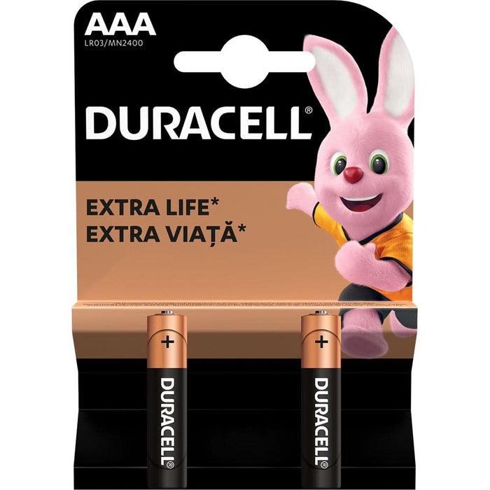 Baterii DURACELL AAAK2 Basic Duralock, 2 bucati WALTI