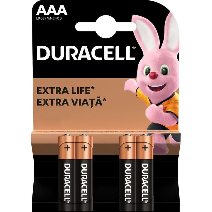 Baterii DURACELL AAAK4 Basic Duralock, 4 bucati WALTI