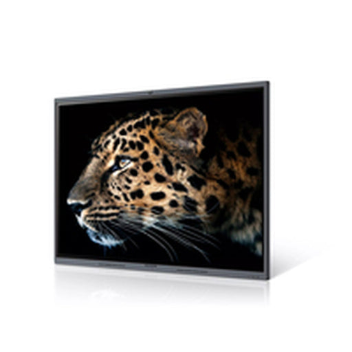 Monitor Videowall Maxhub C7530 4K Ultra HD 75" - WALTI WALTI