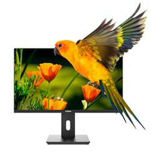 Monitor Nilox NXM24REG02 Full HD 75 Hz - WALTI WALTI