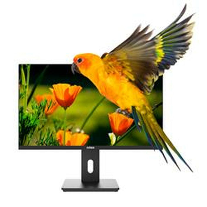 Monitor Nilox NXM24REG02 Full HD 75 Hz - WALTI WALTI