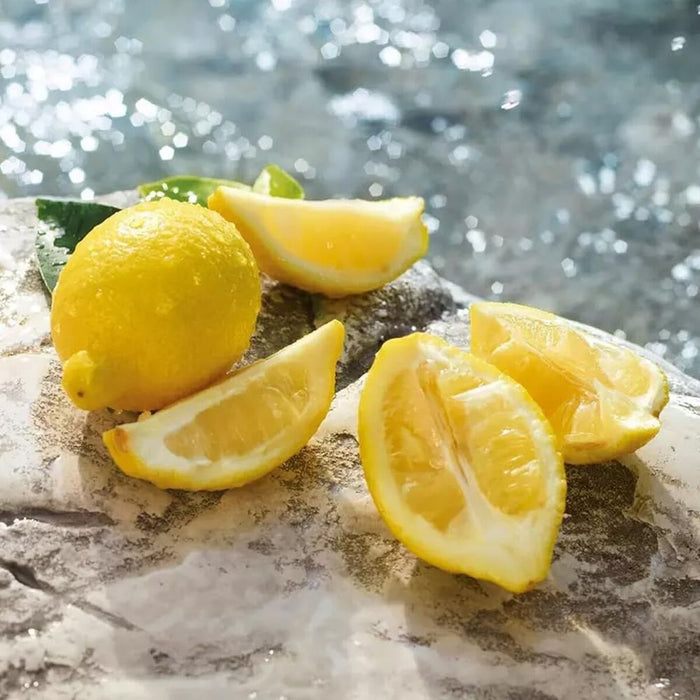 Parfum Bărbați D&G LIGHT BLUE POUR HOMME EDT 200 ml - WALTI WALTI