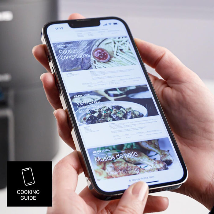 Friteuză cu Aer Taurus 973999000 Negru - WALTI WALTI