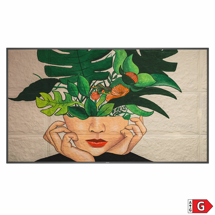 Monitor Videowall Philips 75" 4K Ultra HD - WALTI WALTI