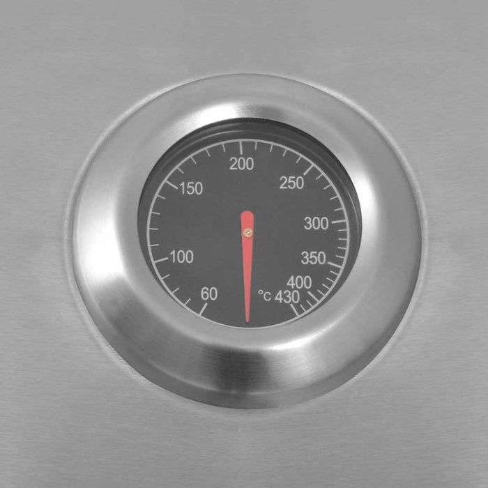 Grătar de Barbecue pe Gaz Argintiu Oțel inoxidabil - WALTI WALTI