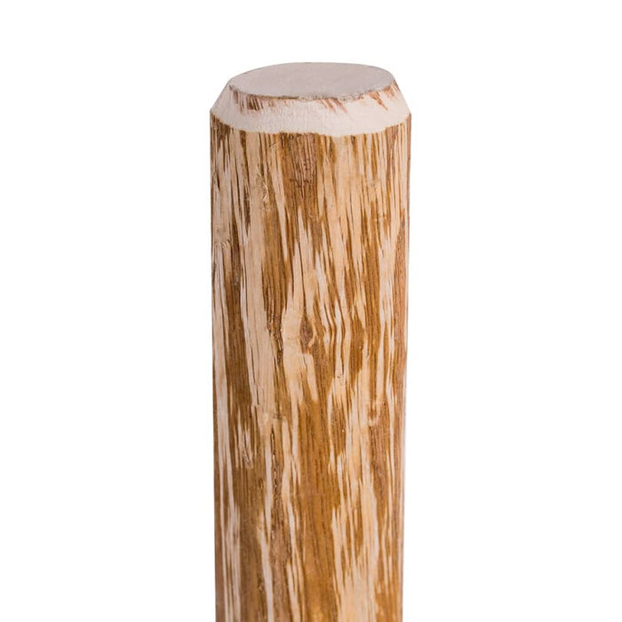 Stâlpi de gard ascuțiți, 4 buc., 120 cm, lemn de alun - WALTI WALTI