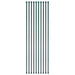 Țăruși grădină, 10 buc, 1,5 m, metal, verde - WALTI WALTI