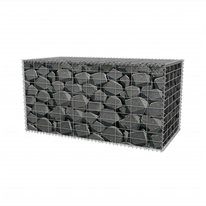 Coș gabion, 100 x 50 x 50 cm, oțel galvanizat - WALTI WALTI