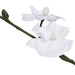 Plantă artificială orhidee cu ghiveci, 30 cm, alb - WALTI WALTI