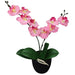 Plantă artificială orhidee cu ghiveci, 30 cm, roz - WALTI WALTI