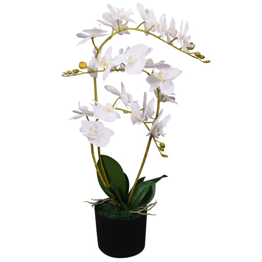 Plantă artificială orhidee cu ghiveci, 65 cm, alb - WALTI WALTI