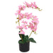 Plantă artificială orhidee cu ghiveci, 65 cm, roz - WALTI WALTI