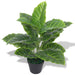 Plantă artificială Taro cu ghiveci, 45 cm, verde - WALTI WALTI