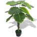 Plantă artificială Taro cu ghiveci, 85 cm, verde - WALTI WALTI