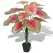Plantă artificială Caladium cu ghiveci, 85 cm, verde și roșu - WALTI WALTI