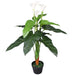 Floare de cală crin artificială cu ghiveci, 85 cm, alb - WALTI WALTI