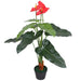 Plantă artificială Anthurium cu ghiveci, 90 cm, roșu și galben - WALTI WALTI
