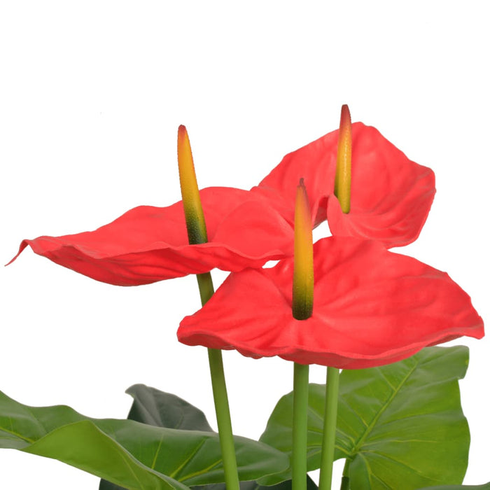 Plantă artificială Anthurium cu ghiveci, 90 cm, roșu și galben - WALTI WALTI