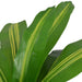 Plantă Dracena artificială cu ghiveci, 90 cm, verde - WALTI WALTI